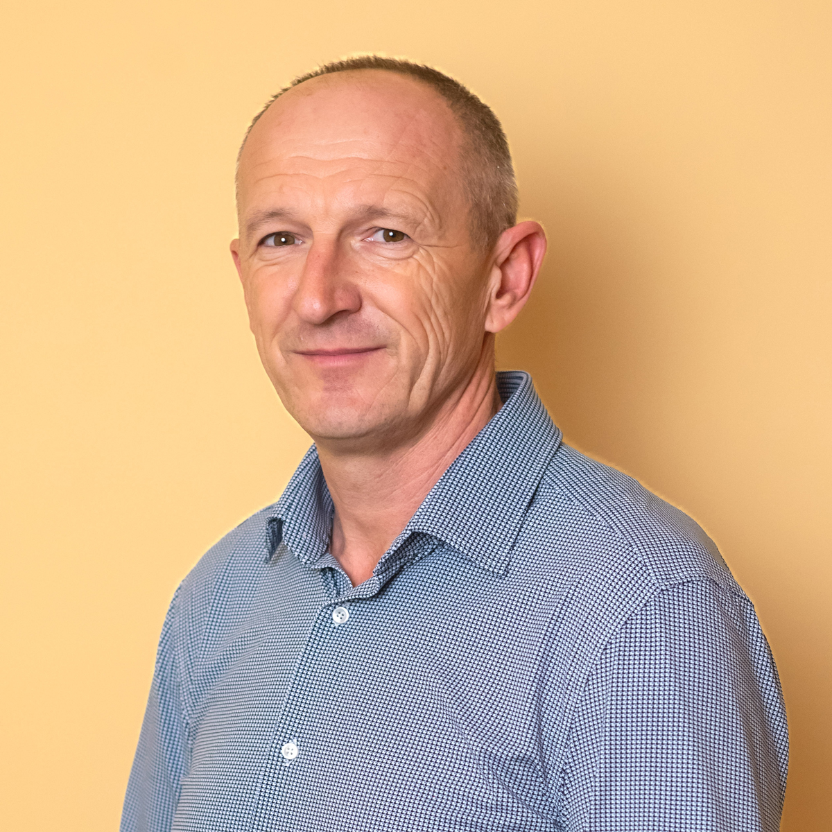 Kubicsek András